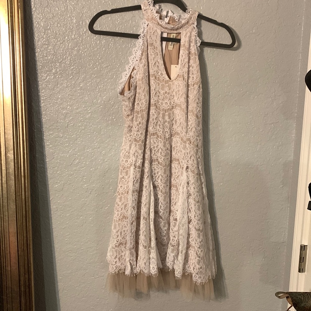 NWT francesscas lace and tool dress